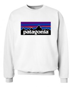 Patagonia Purple&Blue Sweatshirt