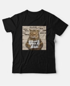 BTS Suga Meow Meow Min Yoongi I Rap At Night T-Shirt