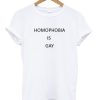 Homophobia Is Gay T-shirt